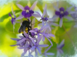 A Moment's Rest © Jamie B. Banta