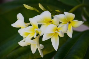 Pure Bliss © Jamie B. Banta